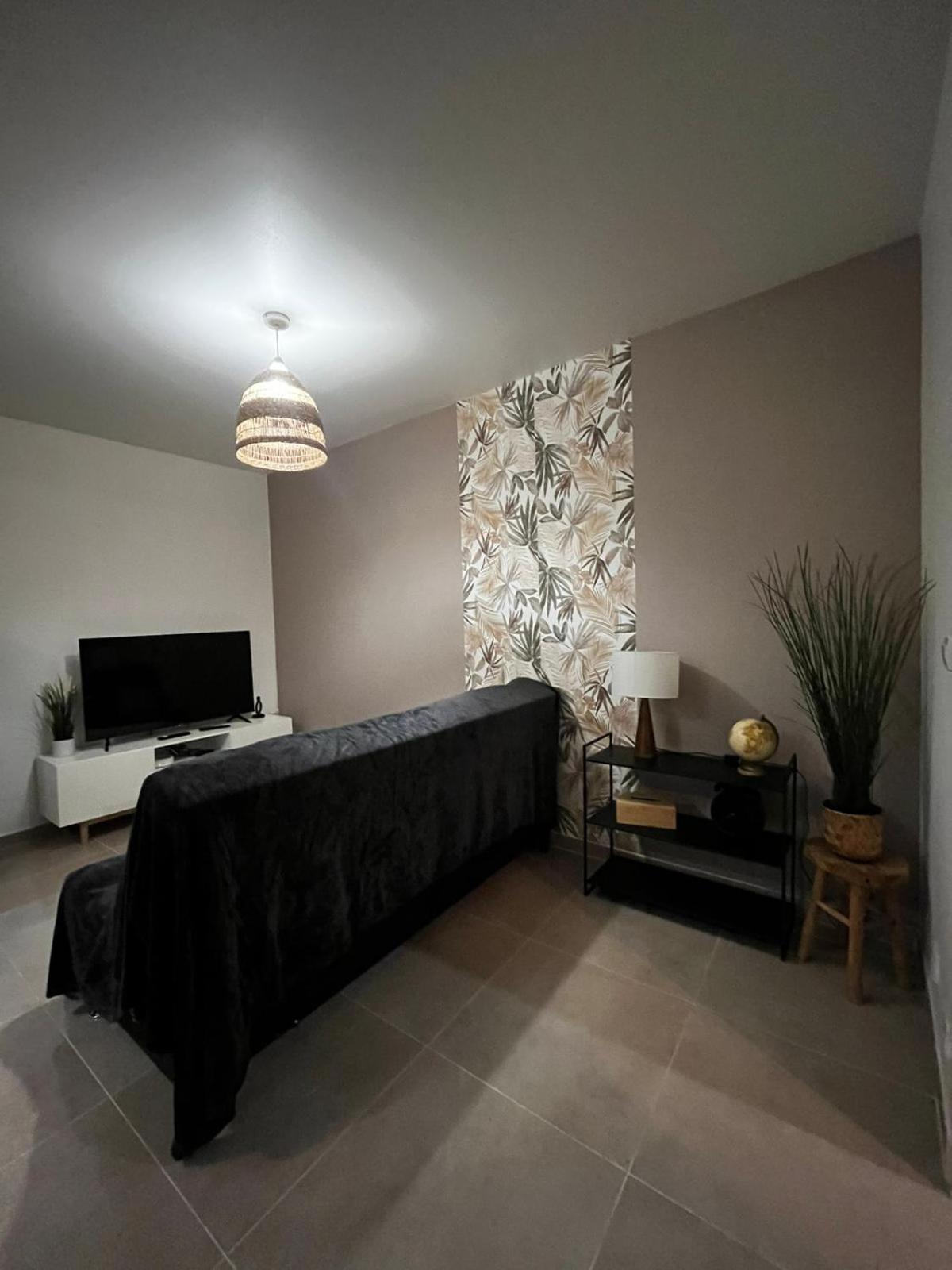 Appartement Des Carmes 尼姆 外观 照片